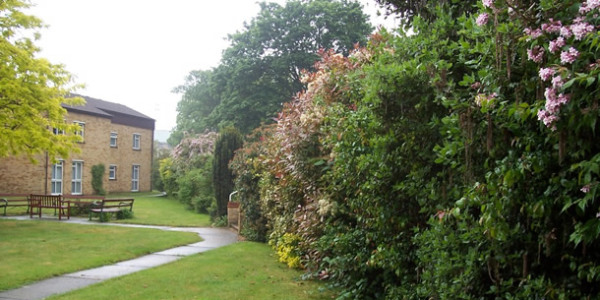 Photo of Chesterton flats' garden